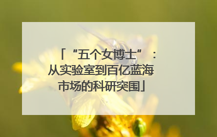 “五个女博士”：从实验室到百亿蓝海市场的科研突围